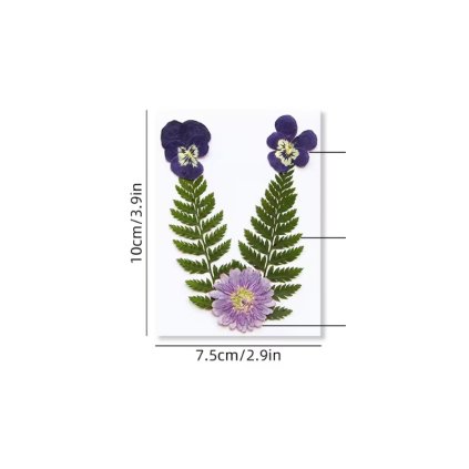Sušené květiny SADA HAR-377 arch 100x75mm