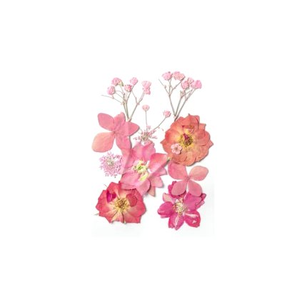 Sušené květiny SADA HAR-325 arch 120x80mm