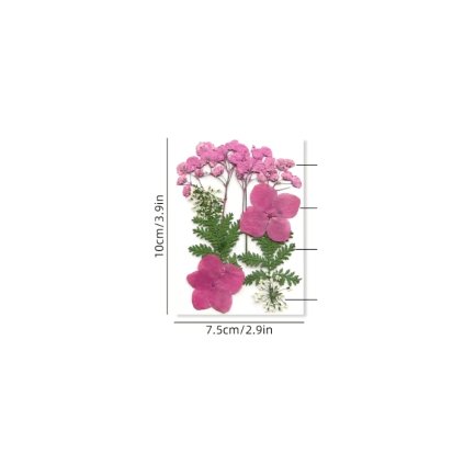 Sušené květiny SADA HAR-307 arch 120x80mm