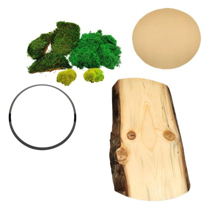 mechovy obraz středový