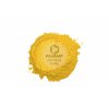 Metalický prášek DK8264 Solid Pine Apple 10g