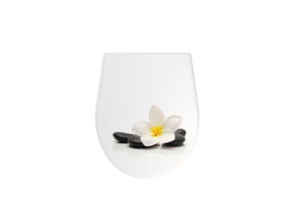 a604 flower vrch viko1