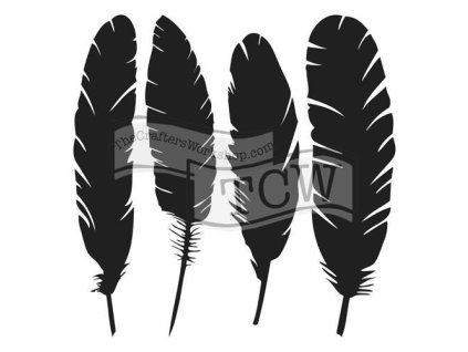 Šablona  4 Feathers
