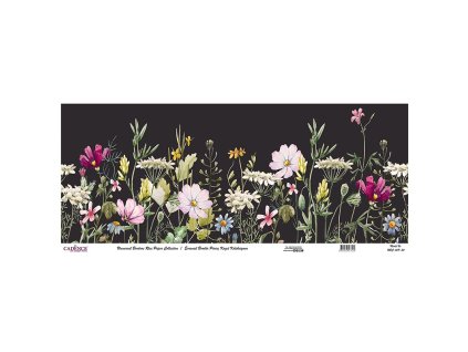 ryzovy papir cadence v roli 30x68 cm rozkvetla louka cerny podklad