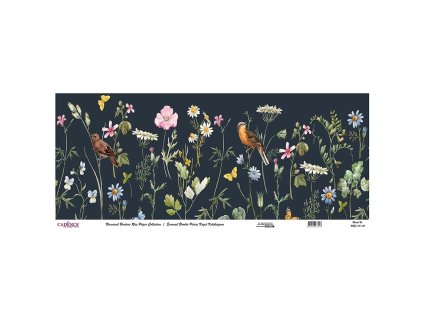 ryzovy papir cadence v roli 30x68 cm ptaci louka cerny podklad