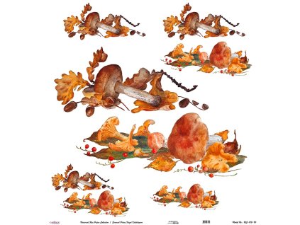 ryzovy papir v roli 90 x 90 cm houby