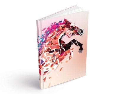 Záznamní kniha A4 - 100 listů, bez linek 7501537