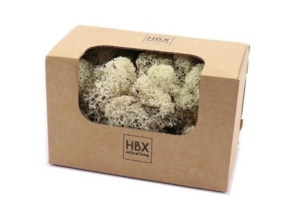 7576736B 6B5D5A5A5A5A5A706F636361 susina moss reindeer 50g white