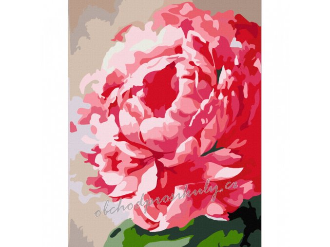 malovani podle cisel rosa 652 kvetina 28795