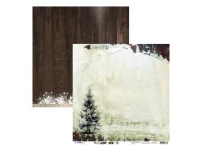 SCRAPWT02