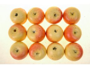 0740d317da813eb77f1f958d687c15ba jablko 2520srednie lt 252001550 3cm 12pcs 360box 2