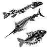 sablona 12 x12 30 5 x 30 5 cm fish fossils