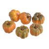 2240e61640016d03fe06de61f582c1ac 162can18 11135 01 sztuczne dynie 6szt 5cmhx5cmo 200 20 bags 6 pcs bag orange