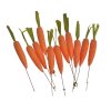 6c1bfce164dfd0d5192b18541bcca84f 122can19015 marchewki na piku 30szt pacz 11cm 72 1 bags 30 pcs bag orange 3