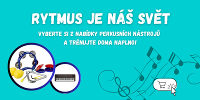 Perkusní nástroje