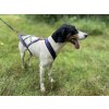 Trop postroj Wolfclan Harness