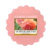 281 yankee candle sun drenched apricot rose vonny vosk 22g
