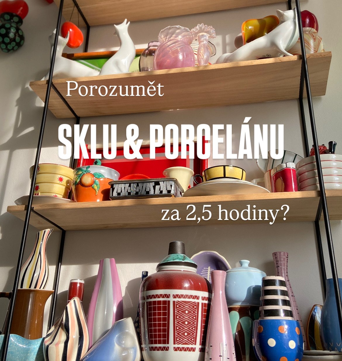 Letní škola sběratelství