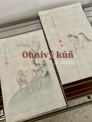 @obchod_vecmi si užívá chladné náruče zasněžených hor… ale s počatým rokem Ohnivého koně si na dálku připomínám tyto dva...