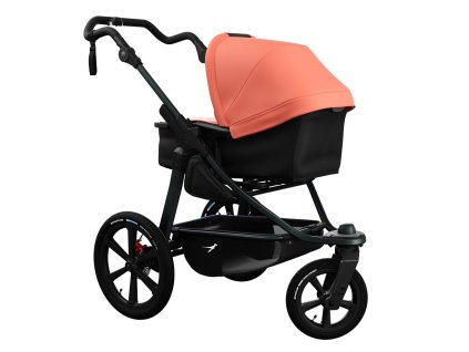 proA combi salmon