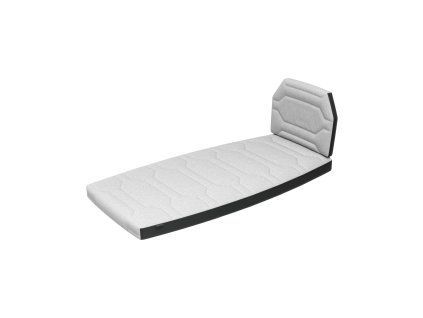 Small Thule Bexey dog bed L A