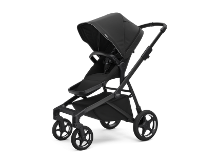 Thule Sleek 2