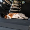 Thule Dog Mat Standard