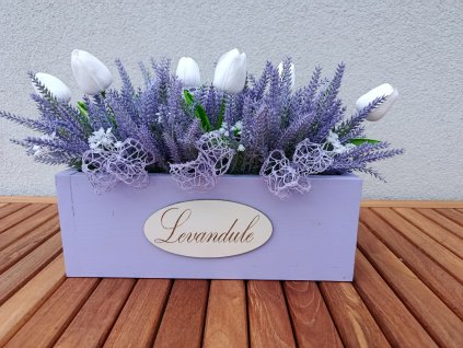Truhlík levandulový