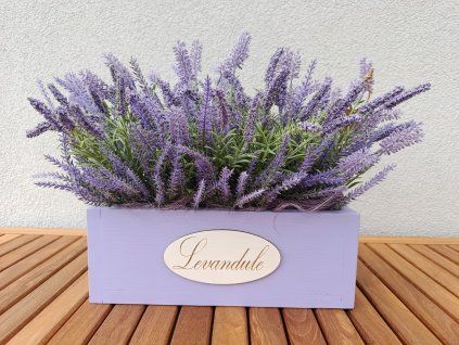 Truhlík levandulový