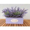 Truhlík levandulový