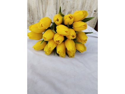 Kytice žlutých tulipánů č.2