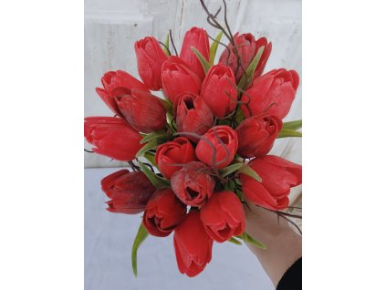 Kytice červených tulipánů č.5