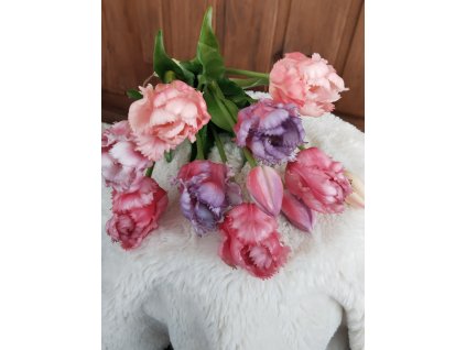 Kytice růžovo fialových tulipánů