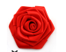 #6 Červená růže - 6cm + 24 Kč