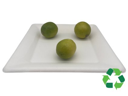 BIO talíř z cukrové třtiny 26x26cm | 10ks