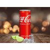 Coca-Cola | 330ml plech