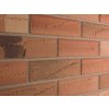 Cihlový obklad ELABRICK Palermo 71x240 Elastolith 1
