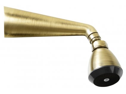 Sapho Nástěnná sprcha s otočným kloubem, bronz 9046