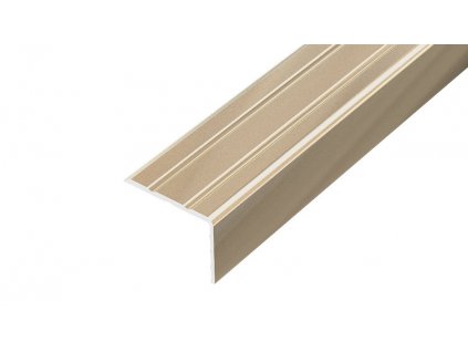 ACARA AP5 schodová lišta samolepící, hliník elox champagne, 20 mm, 2,7 m AAHAE B250020-C-SK