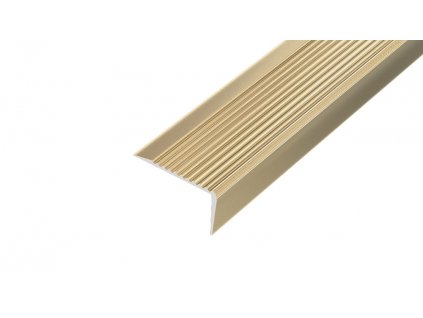 ACARA AP10 schodová lišta samolepící, hliník elox champagne, 20 mm, 0,9 m AAHAE B450020-C-SK/0,9