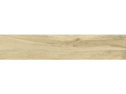 Stn Dlažba Stn Baldai roble 20x120 cm mat BALDAI2312RO
