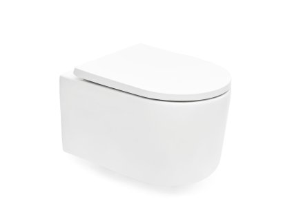 Swiss Aqua Technologies WC se sedátkem softclose závěsné SAT bílé vírové SAT72010RTORP