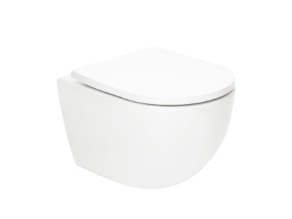 Swiss Aqua Technologies WC s prkénkem softclose závěsné SAT Fusion bílé vírové SATFUS010RTORP