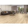 BALDAI2312RO 001