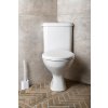 Aqualine CLIFTON rohové WC kombi, dvojtlačítko 3/6l, zadní/spodní odpad, bílá FS1PK