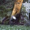 Nordlux Spotlight provedení černá 20789903