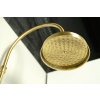 Sapho ANTEA sprchový sloup s termostatickou baterií, bronz SET046
