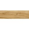 Olmo sabbia 60x17,5 rf 1