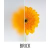 Aqualine ARLEN čtvrtkruhová sprchová zástěna 900x900 mm, sklo Brick BTR900