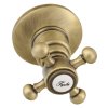 Sapho ANTEA podomítková sprchová baterie, 2 výstupy, bronz SET305-106